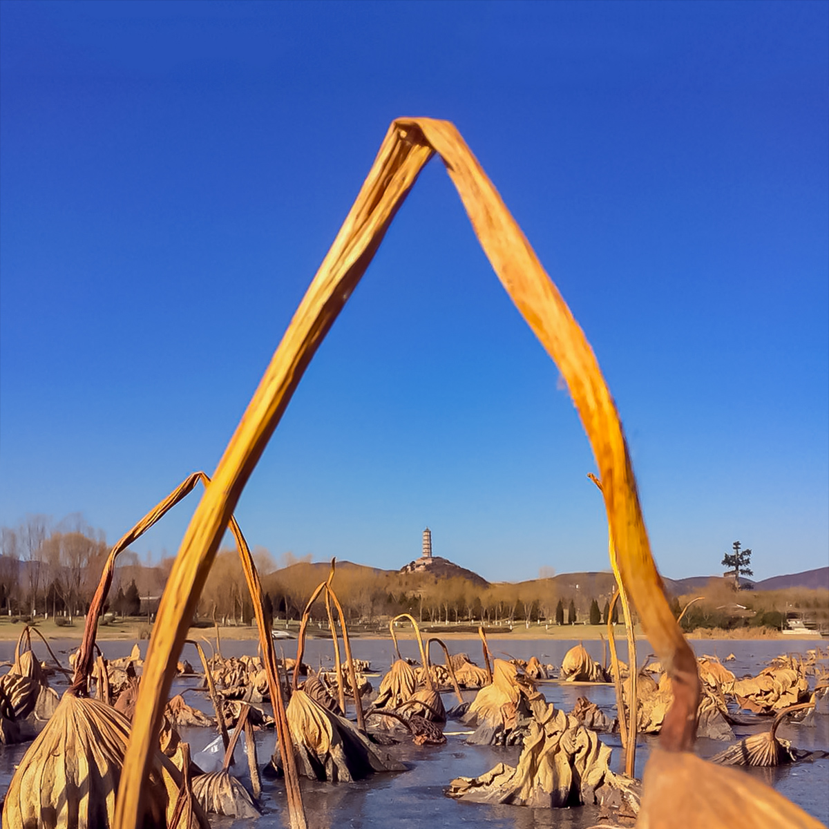 微信图片_20171226151200 拷贝.jpg