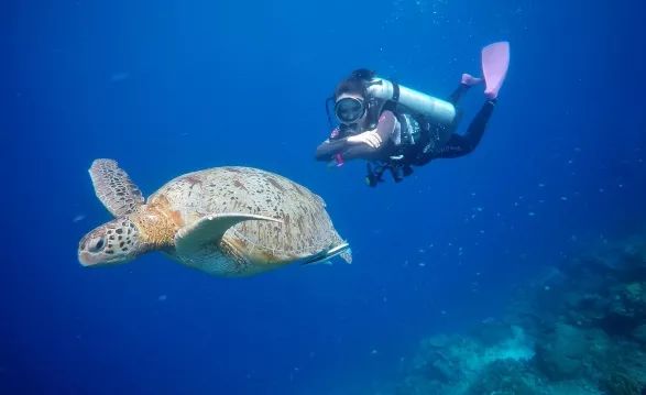 0c66bd4b57229f080c8bf0194717eb99.jpg 0c66bd4b57229f080c8bf0194717eb99.jpg