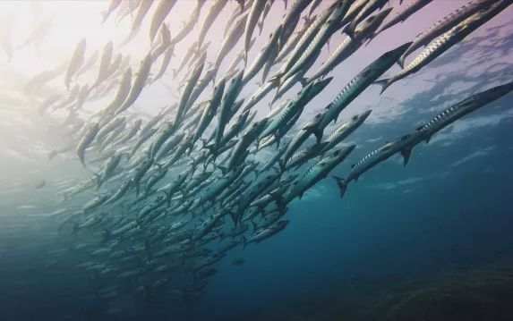 7cb7fe8d64bed2eb407cd94a15a3c60e.jpg 7cb7fe8d64bed2eb407cd94a15a3c60e.jpg