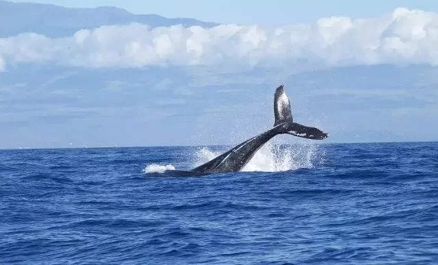 48a217e15b88d879100b59ddd583584c.jpg 48a217e15b88d879100b59ddd583584c.jpg