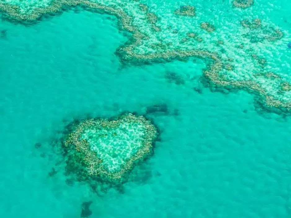 f35116176677f47e0ec00c68bea43fdb.jpg f35116176677f47e0ec00c68bea43fdb.jpg