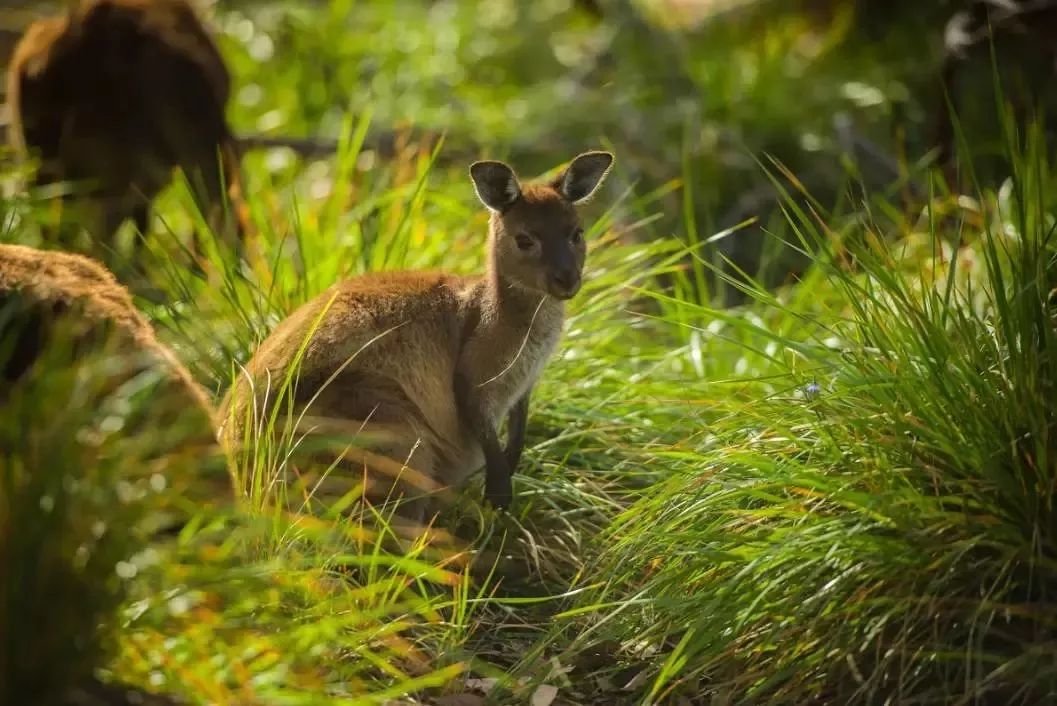 c145717db27024d105e9982e31505440.jpg c145717db27024d105e9982e31505440.jpg