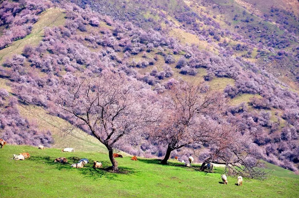 bd375179226e45fb24c1ea43e8d5fb3b.jpg bd375179226e45fb24c1ea43e8d5fb3b.jpg