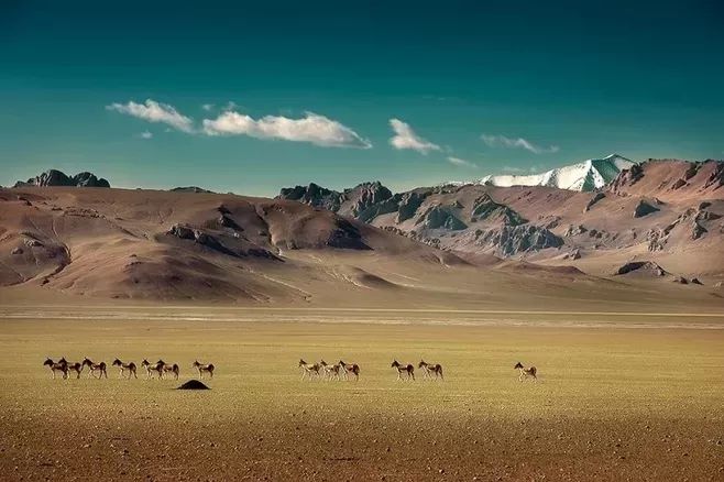 1d32ef5bd707ba04a21c46cd66dd7824.jpg 1d32ef5bd707ba04a21c46cd66dd7824.jpg