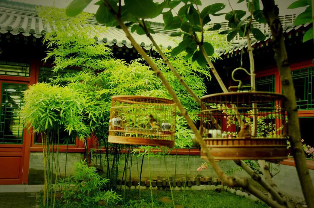 585923485bf3057fcaa275eca8a3ed86.jpg 585923485bf3057fcaa275eca8a3ed86.jpg