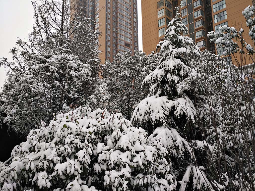 IMG_20180104_100441副本.jpg