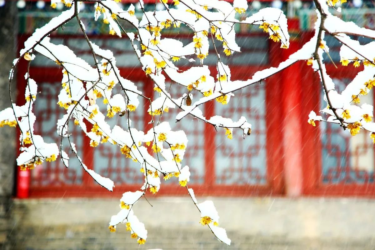 a40dd5e3fe93572d92b6a7a41bc84ab4.jpg a40dd5e3fe93572d92b6a7a41bc84ab4.jpg