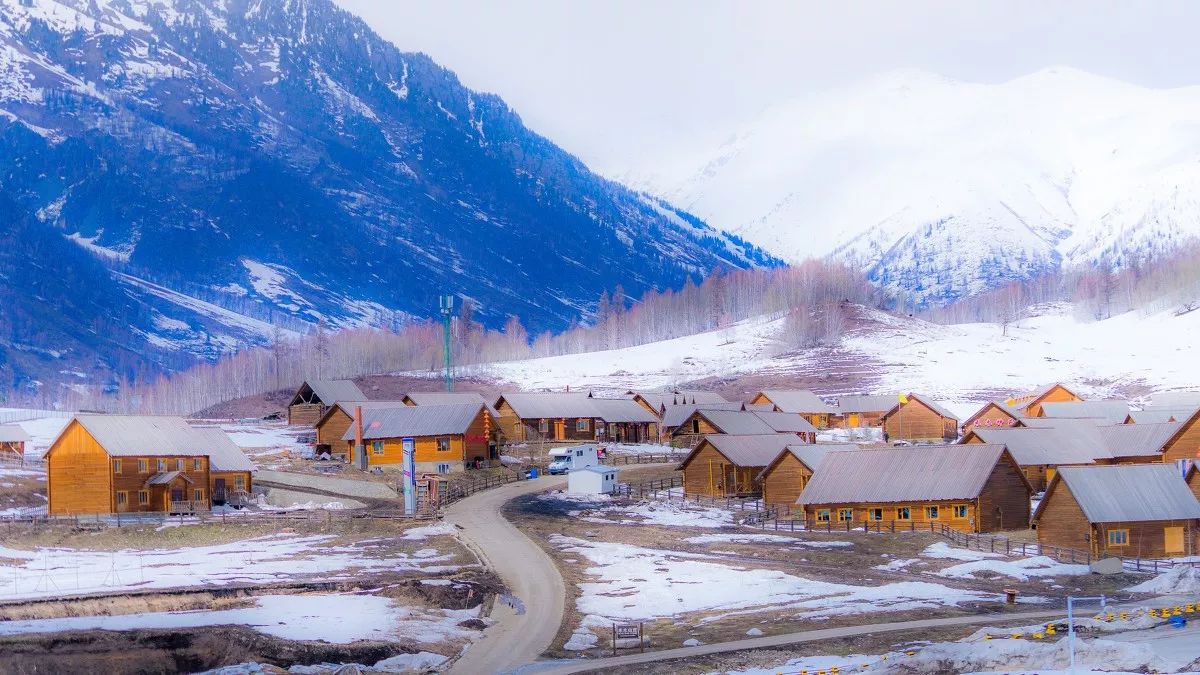 8373ceac09ddae4aad672295468f8cca.jpg 8373ceac09ddae4aad672295468f8cca.jpg