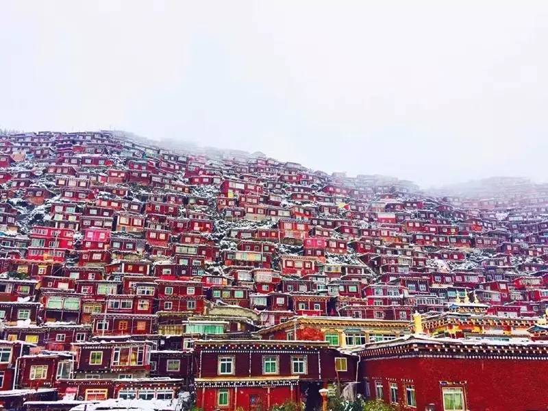 9d474601080bc4aaaa95a50fdc3eba9f.jpg 9d474601080bc4aaaa95a50fdc3eba9f.jpg