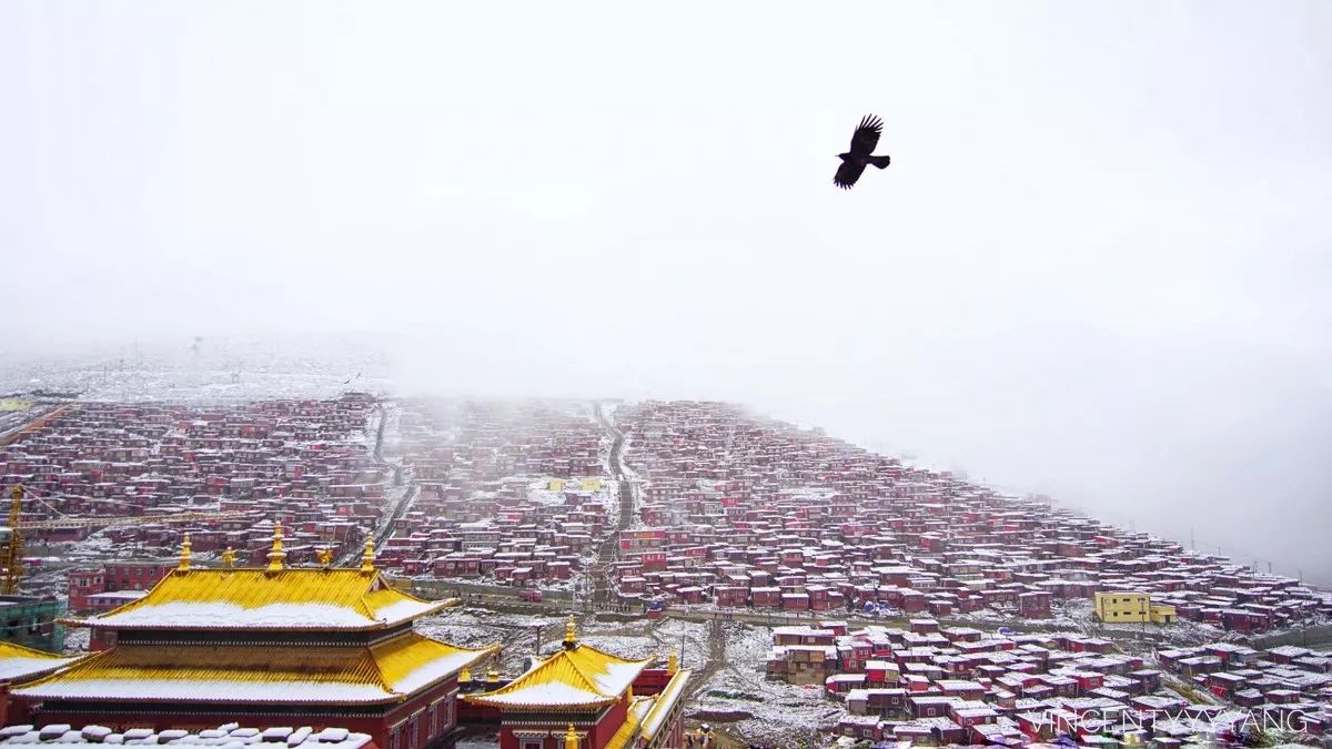 5c3e4b7eb09328afa1abda0aa59c0ea6.jpg 5c3e4b7eb09328afa1abda0aa59c0ea6.jpg