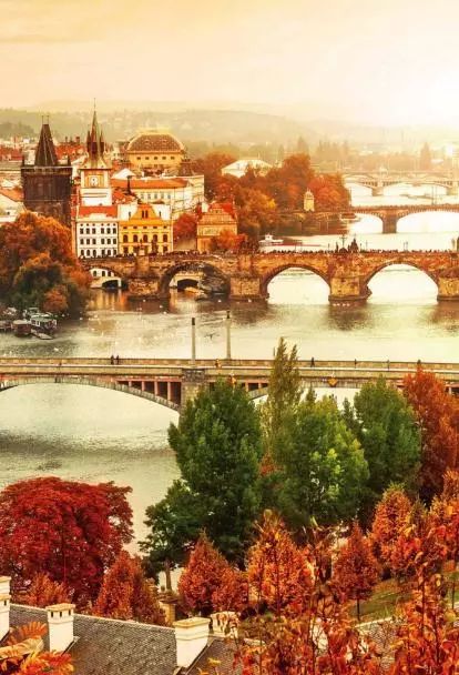 6d0c6fa1fe5e6988716530980bf2b8be.jpg 6d0c6fa1fe5e6988716530980bf2b8be.jpg