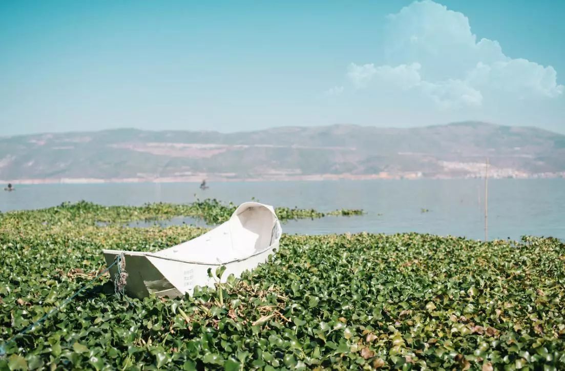 f35753066112e228c8e05d34963b96e5.jpg f35753066112e228c8e05d34963b96e5.jpg