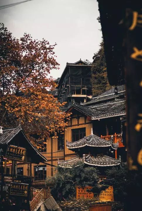 bcb7023228d499701d23f40272cffe89.jpg bcb7023228d499701d23f40272cffe89.jpg