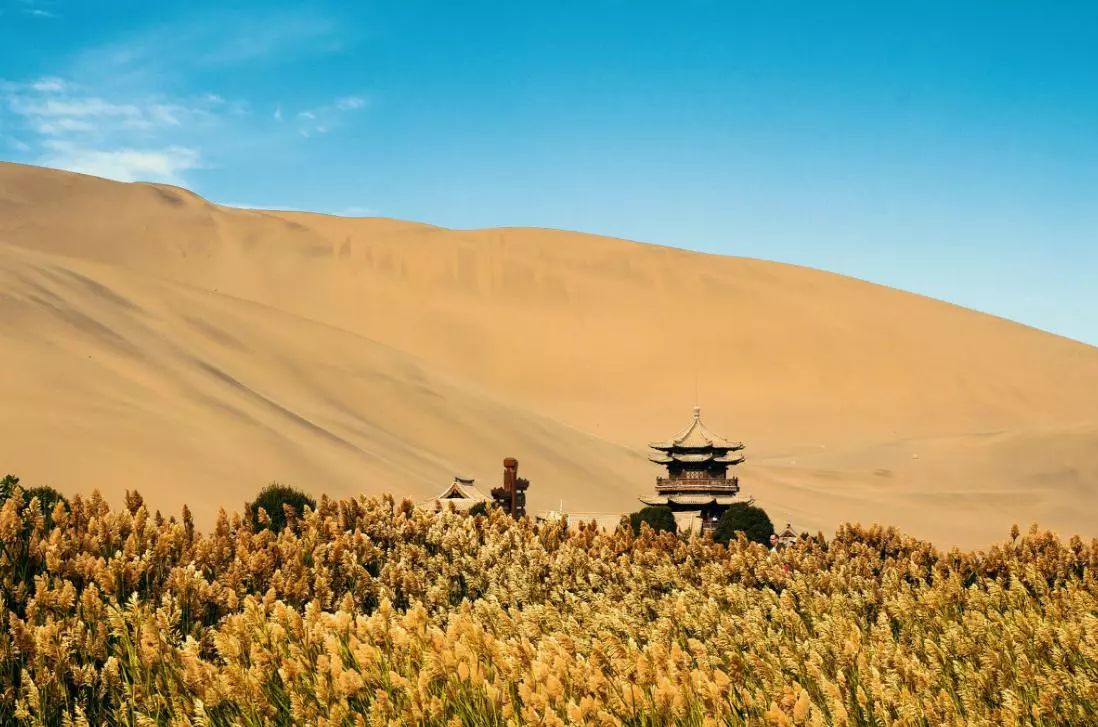 63a806d7056d3501ffca7ad293444c51.jpg 63a806d7056d3501ffca7ad293444c51.jpg