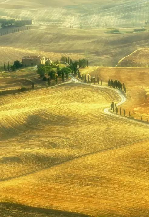 c1ae72bd4c79541bf931c0642737efaf.jpg c1ae72bd4c79541bf931c0642737efaf.jpg