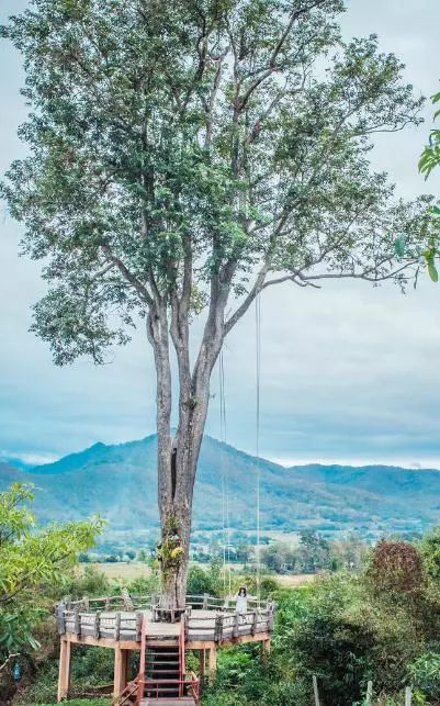 e30b04a27aa9cb99cc4f171a9261a57d.jpg e30b04a27aa9cb99cc4f171a9261a57d.jpg