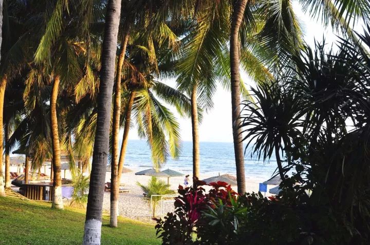 9bc8c51d4e9b126dd2b31475c9a6acc5.jpg 9bc8c51d4e9b126dd2b31475c9a6acc5.jpg