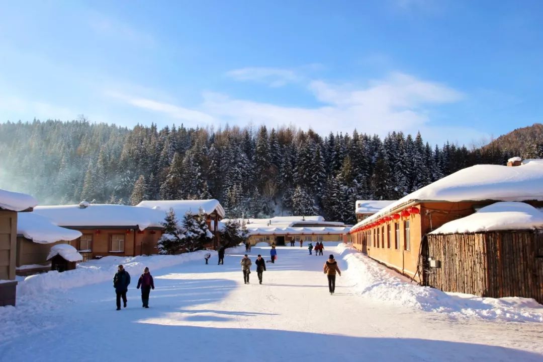 7b278b12a2d0e4f26cec7ddc3d8c8a1b.jpg 7b278b12a2d0e4f26cec7ddc3d8c8a1b.jpg