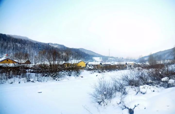 8c4cec8c8f0e1c3ad75d3c249902a8fc.jpg 8c4cec8c8f0e1c3ad75d3c249902a8fc.jpg