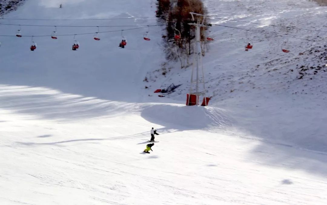 d455c741f992fa169bcdf98d75e4c6cf.jpg d455c741f992fa169bcdf98d75e4c6cf.jpg