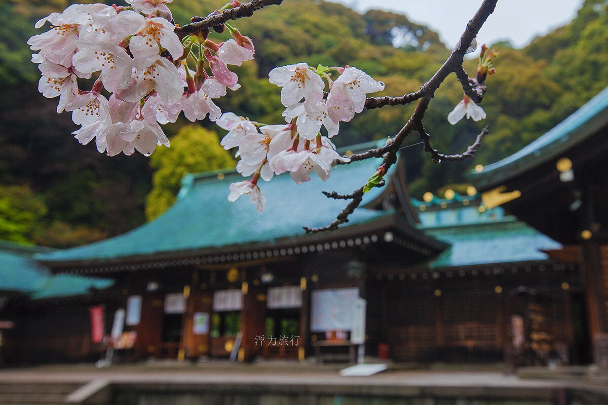 浮力旅行.jpg