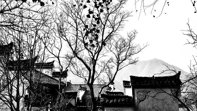 371742fd455b9449bc52d0791135f181.jpg 371742fd455b9449bc52d0791135f181.jpg