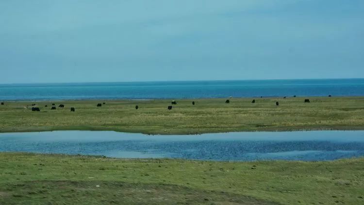 1ea1aa027f01cac26657065dbf063455.jpg 1ea1aa027f01cac26657065dbf063455.jpg