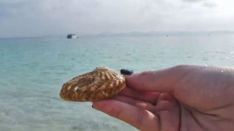 bd6d1813b2c5ea6c7986d4ec0ffc8832.jpg bd6d1813b2c5ea6c7986d4ec0ffc8832.jpg