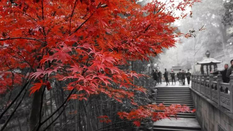 ec62c06709ec883e7788937598d420a0.jpg ec62c06709ec883e7788937598d420a0.jpg