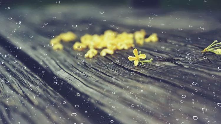 2bf5bfab151e6b4f7c2396be5cd2e5f8.jpg 2bf5bfab151e6b4f7c2396be5cd2e5f8.jpg