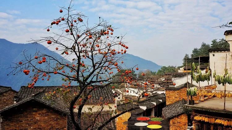 159b3635410e43d7bbf38611eb918e73.jpg 159b3635410e43d7bbf38611eb918e73.jpg