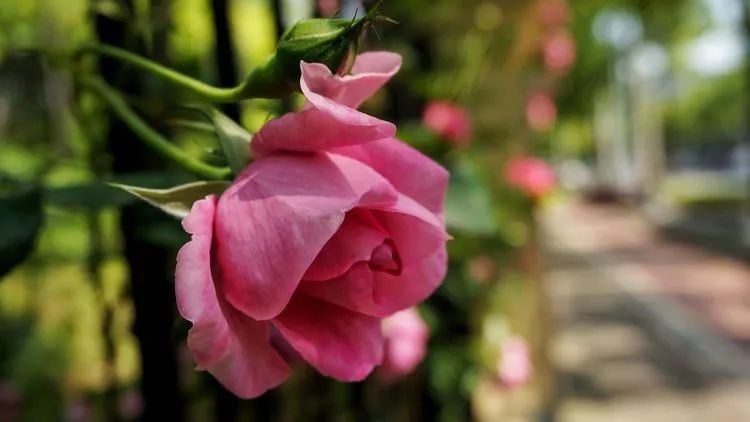 26bb885ecddca56509fbf4252a3f6f56.jpg 26bb885ecddca56509fbf4252a3f6f56.jpg