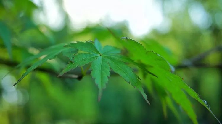 a28f004a46b98c3dce060756bc1f3945.jpg a28f004a46b98c3dce060756bc1f3945.jpg