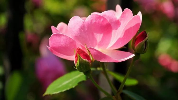 327b592c3916a567655eedf6fd1aea02.jpg 327b592c3916a567655eedf6fd1aea02.jpg