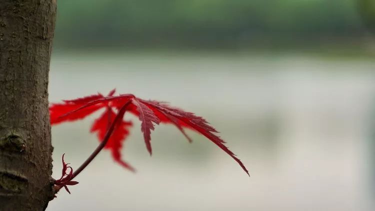 6e469e1d541bb2000cb336d3a24eb670.jpg 6e469e1d541bb2000cb336d3a24eb670.jpg