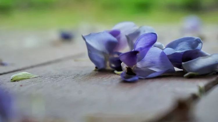 82aa9ca5aa48fe46b5c5c0167514b59f.jpg 82aa9ca5aa48fe46b5c5c0167514b59f.jpg