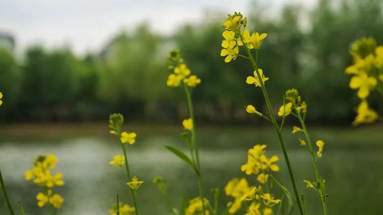 feea218014de08f124f745fc5af7f1be.jpg feea218014de08f124f745fc5af7f1be.jpg