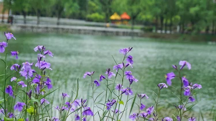 2f168a0153d512d4076cf5af8157d63d.jpg 2f168a0153d512d4076cf5af8157d63d.jpg