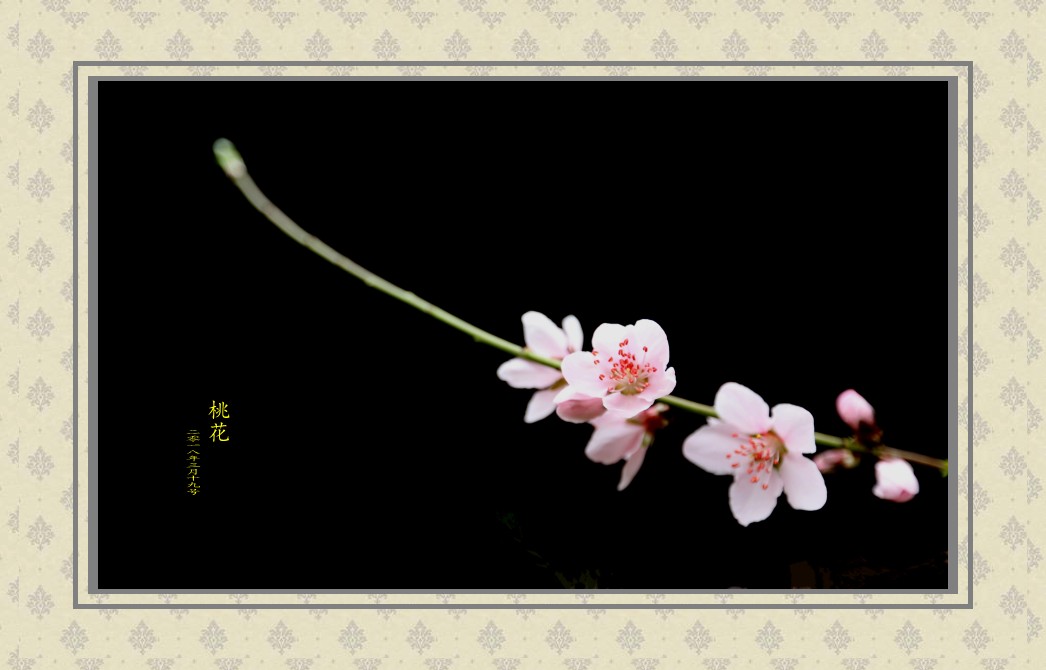 C24T7673_conew1_副本.jpg1.jpg