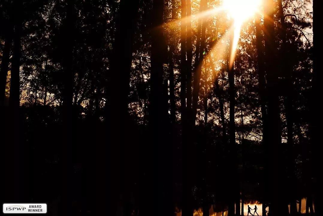 d296c19913a1b5e79b790334bd37c142.jpg