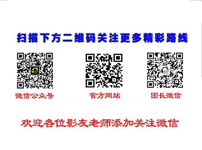 paizi 拷贝.jpg