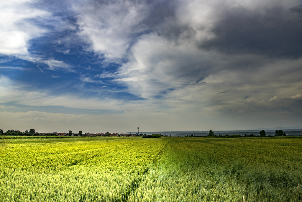 DSC_5436111.jpg