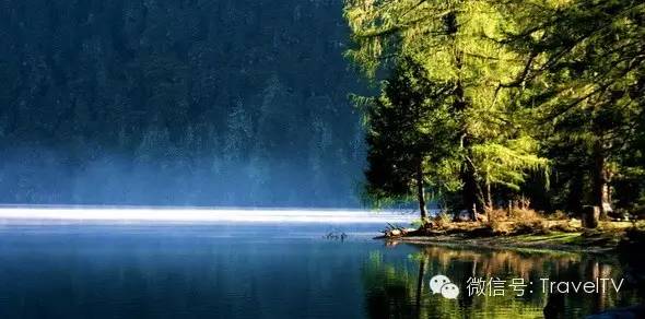 d104f97c1ecd7b2732c2794712ff4a6d.jpg d104f97c1ecd7b2732c2794712ff4a6d.jpg