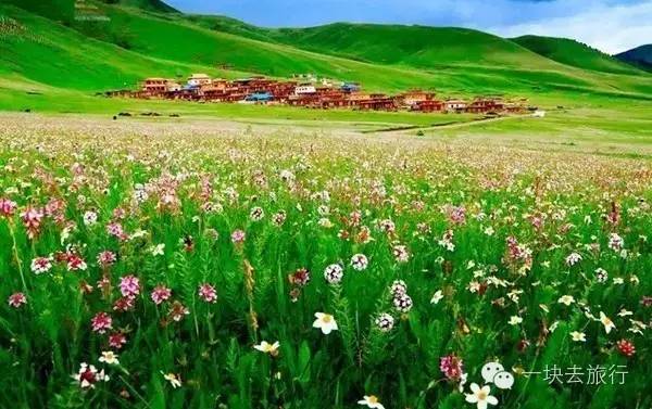 cb3fbe941189c43e6064b52c1bc9d60e.jpg cb3fbe941189c43e6064b52c1bc9d60e.jpg