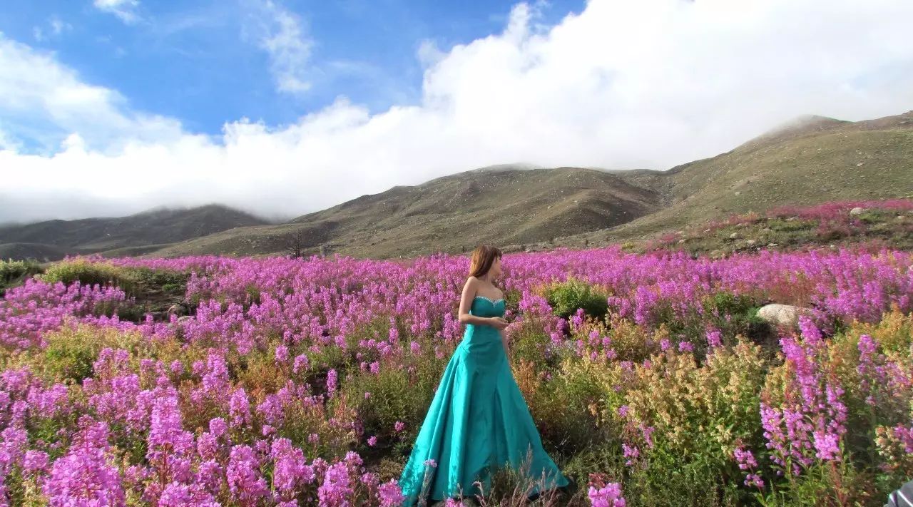 85cda4b0821b36d0fce9672a6ea2f9b8.jpg 85cda4b0821b36d0fce9672a6ea2f9b8.jpg