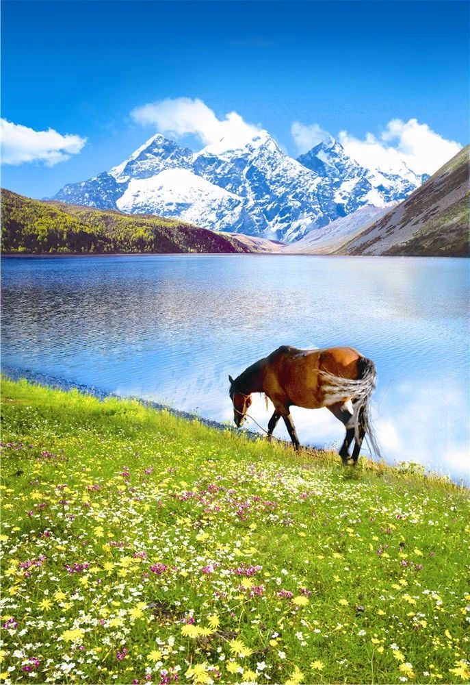 4d3880201cc5fcb606cc468882d169d7.jpg 4d3880201cc5fcb606cc468882d169d7.jpg