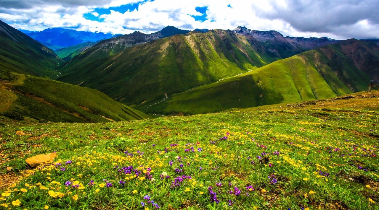 aebd244bd27a98c67464a86acdc9cd3d.jpg aebd244bd27a98c67464a86acdc9cd3d.jpg