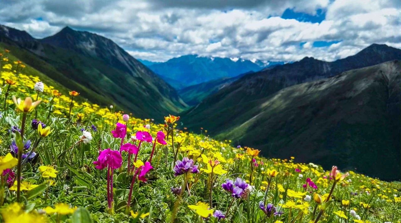 56089cd7c00a0b7a325eda5a3f627046.jpg 56089cd7c00a0b7a325eda5a3f627046.jpg