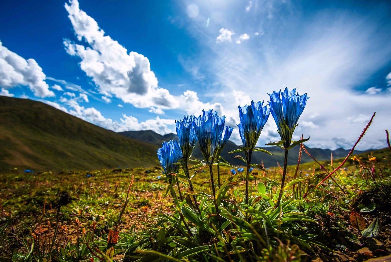 328a6bc4fadd7a7910883c9db0582318.jpg 328a6bc4fadd7a7910883c9db0582318.jpg