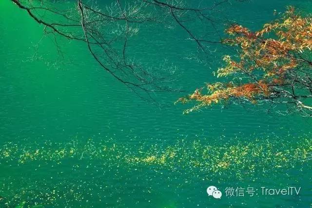 844cccf7e1683894d0653ff1605a4331.jpg 844cccf7e1683894d0653ff1605a4331.jpg